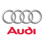 Audi Faults