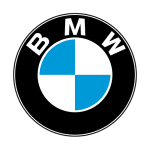 BMW Faults