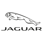 Jaguar Faults